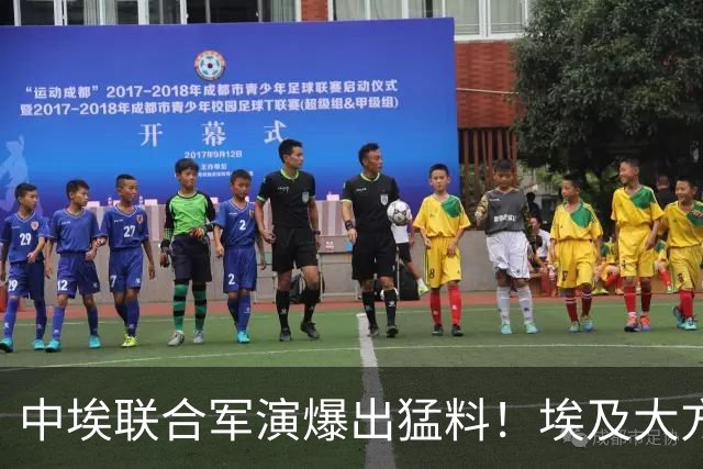 中埃联合军演爆出猛料！埃及大方交底，多国五味杂陈