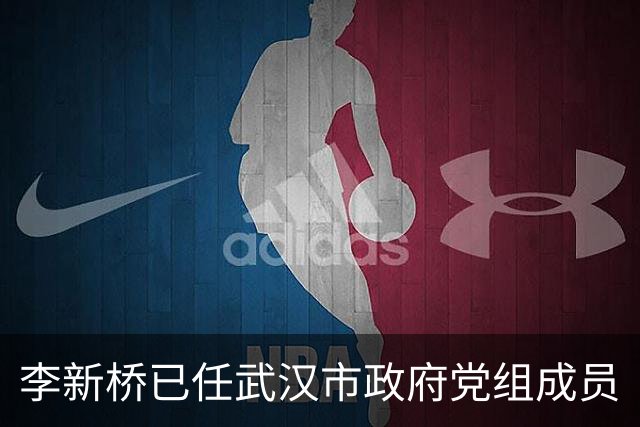 李新桥已任武汉市政府党组成员
