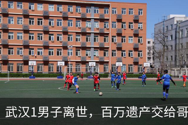 武汉1男子离世，百万遗产交给哥哥处理，哥哥：我要给另外一个人