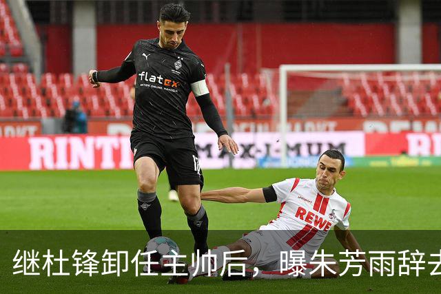 继杜锋卸任主帅后，曝朱芳雨辞去总经理职务，广东男篮开启新时代